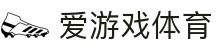 爱游戏 (AYX)体育·官网_AYX SPORTS