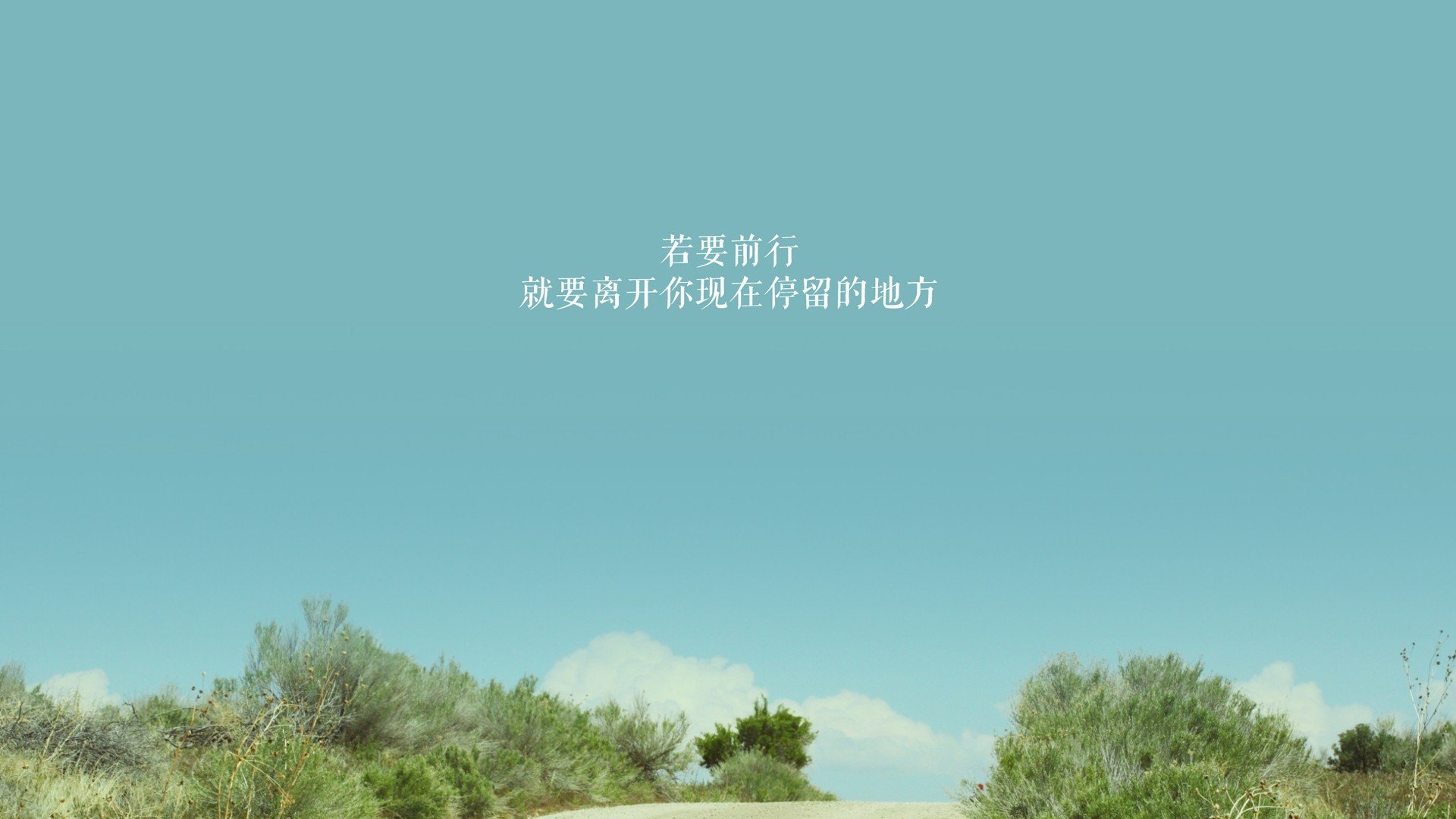 中国篮球教练员专业发展需求与培训策略，篮球教练发展空间