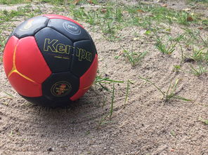 爱游戏娱乐平台-中国篮球推动青少年比赛规则标准统一促进公平竞争，篮球青少年联赛